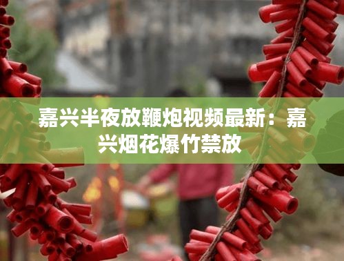 不求甚解 第2页
