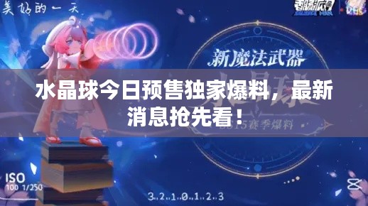 水晶球今日预售独家爆料，最新消息抢先看！