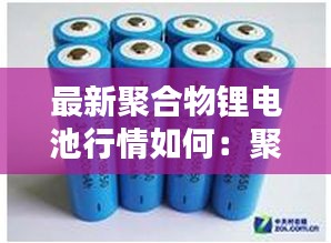 最新聚合物锂电池行情如何：聚合物锂电池什么牌子最好 