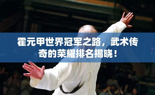 霍元甲世界冠军之路，武术传奇的荣耀排名揭晓！
