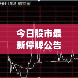 今日股市最新停牌公告，掌握最新动态！
