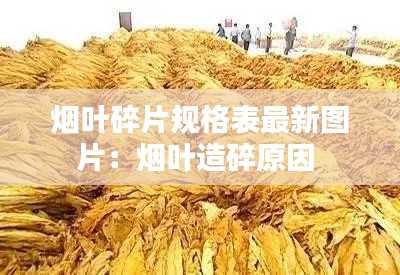 烟叶碎片规格表最新图片：烟叶造碎原因 