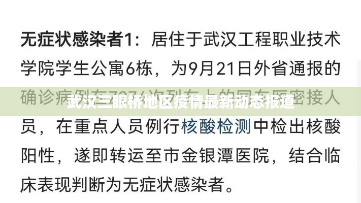 武汉三眼桥地区疫情最新动态报道