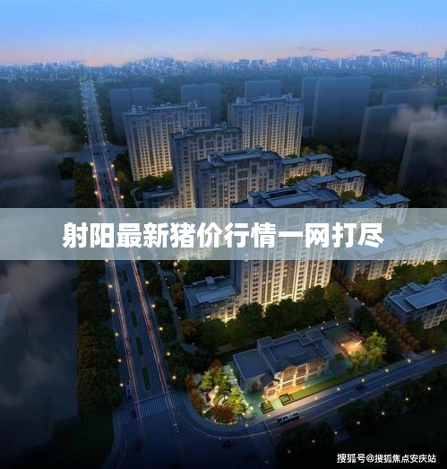 白璧无瑕 第2页