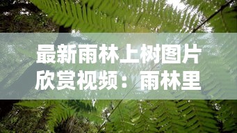 常见问题 第72页