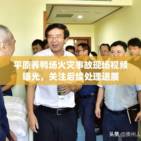 平原养鸭场火灾事故现场视频曝光，关注后续处理进展