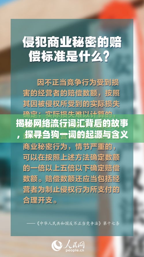 揭秘网络流行词汇背后的故事，探寻刍狗一词的起源与含义