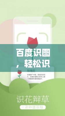 百度识图，轻松识别万物，一图即达！