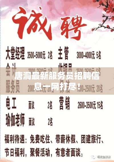 唐洞最新服务员招聘信息一网打尽！