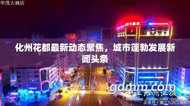 化州花都最新动态聚焦，城市蓬勃发展新闻头条