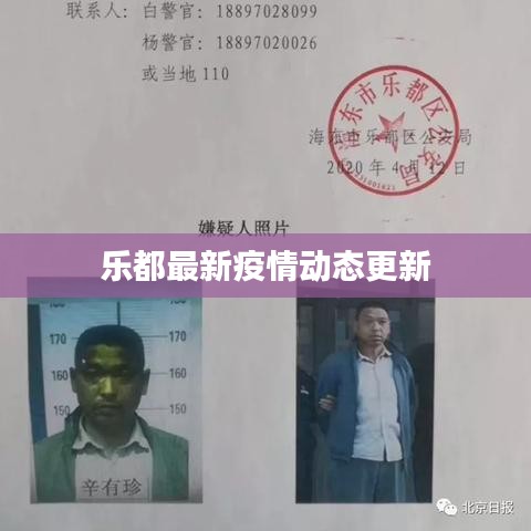乐都最新疫情动态更新