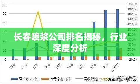 长春喷浆公司排名揭秘，行业深度分析