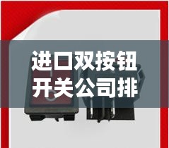 进口双按钮开关公司排行榜TOP榜单揭晓