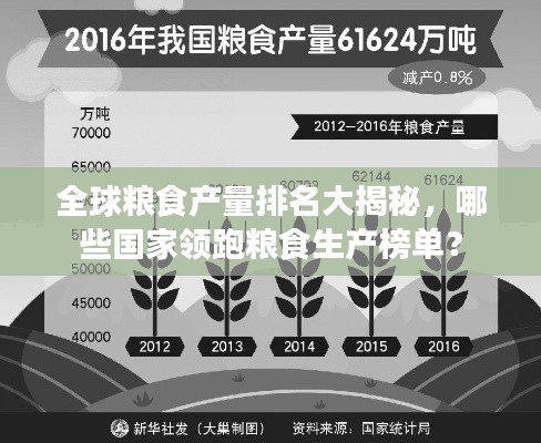 全球粮食产量排名大揭秘，哪些国家领跑粮食生产榜单？