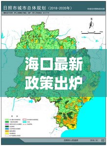 海口最新政策出炉，推动城市全面更新发展