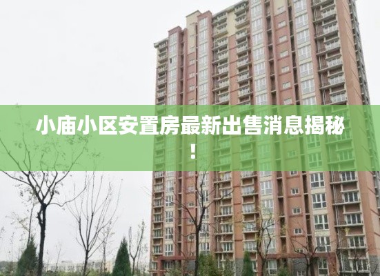 小庙小区安置房最新出售消息揭秘！