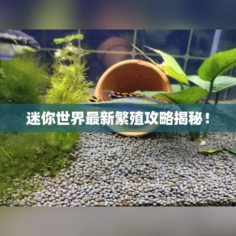 迷你世界最新繁殖攻略揭秘！