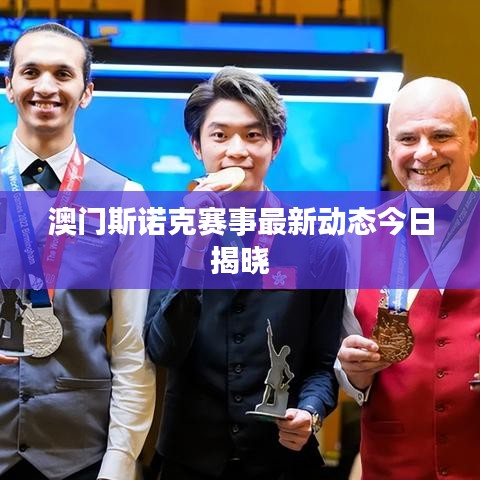 澳门斯诺克赛事最新动态今日揭晓