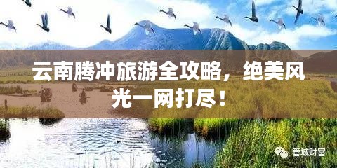 阳春白雪 第2页