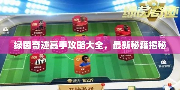 绿茵奇迹高手攻略大全，最新秘籍揭秘
