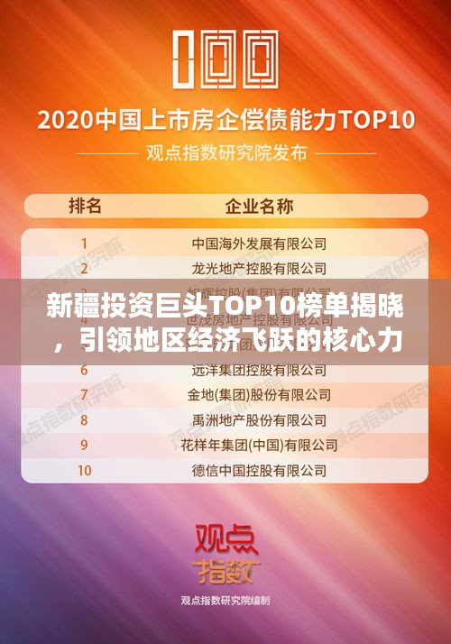 新疆投资巨头TOP10榜单揭晓，引领地区经济飞跃的核心力量