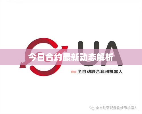 今日合约最新动态解析