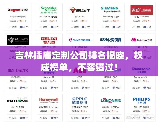 吉林插座定制公司排名揭晓，权威榜单，不容错过！