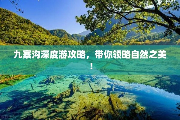 九寨沟深度游攻略，带你领略自然之美！