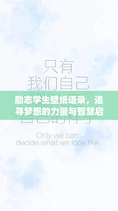 衣不兼采 第2页
