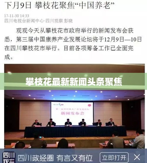 攀枝花最新新闻头条聚焦