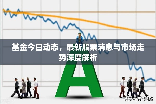 基金今日动态，最新股票消息与市场走势深度解析