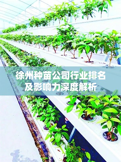 徐州种苗公司行业排名及影响力深度解析