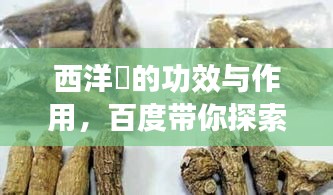 西洋參的功效与作用，百度带你探索奥秘！