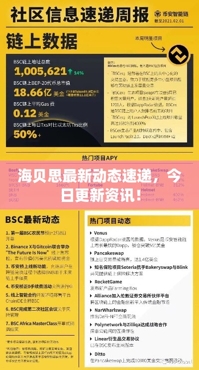 海贝思最新动态速递，今日更新资讯！