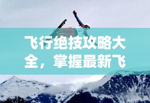 飞行绝技攻略大全，掌握最新飞行技巧，轻松成为飞行高手！