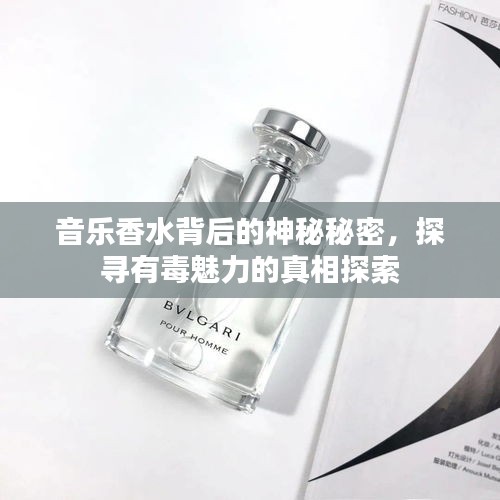 音乐香水背后的神秘秘密，探寻有毒魅力的真相探索