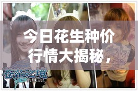今日花生种价行情大揭秘，最新动态一网打尽