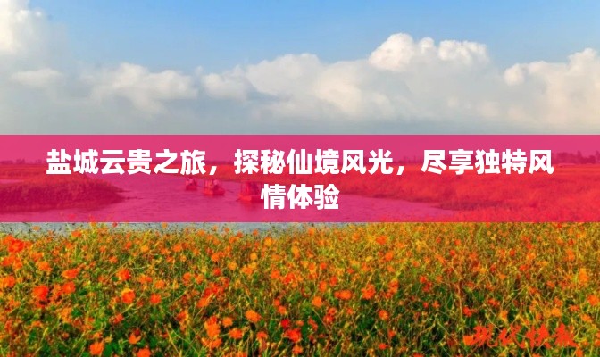 盐城云贵之旅，探秘仙境风光，尽享独特风情体验