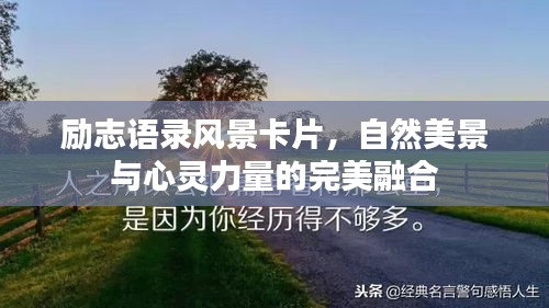 励志语录风景卡片，自然美景与心灵力量的完美融合