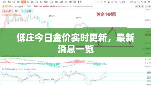 低庄今日金价实时更新，最新消息一览