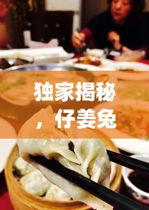 独家揭秘，仔姜兔的独特风味与烹饪秘籍，带你开启美食探索之旅