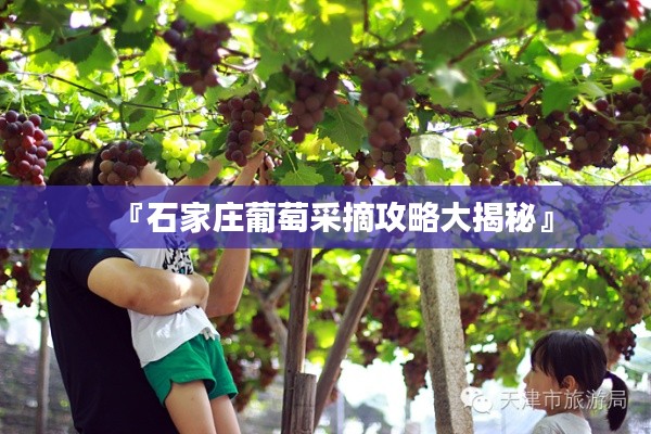 张皇无措 第2页