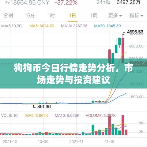 狗狗币今日行情走势分析，市场走势与投资建议