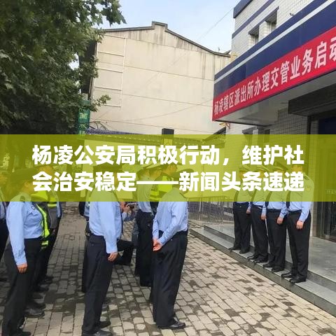 杨凌公安局积极行动，维护社会治安稳定——新闻头条速递