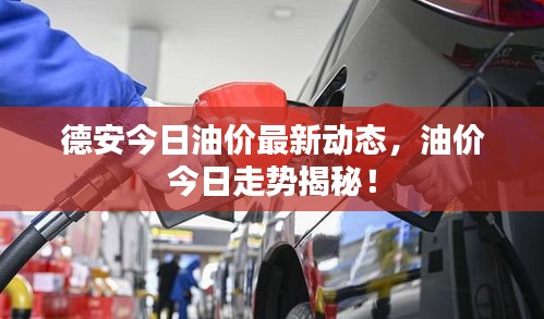 德安今日油价最新动态，油价今日走势揭秘！