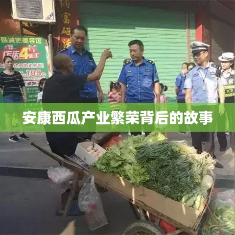安康西瓜产业繁荣背后的故事