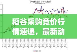 稻谷采购竞价行情速递，最新动态，洞悉市场趋势