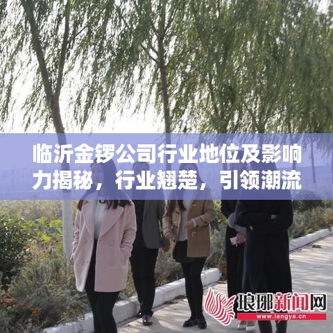 临沂金锣公司行业地位及影响力揭秘，行业翘楚，引领潮流