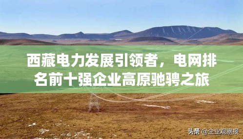 西藏电力发展引领者，电网排名前十强企业高原驰骋之旅