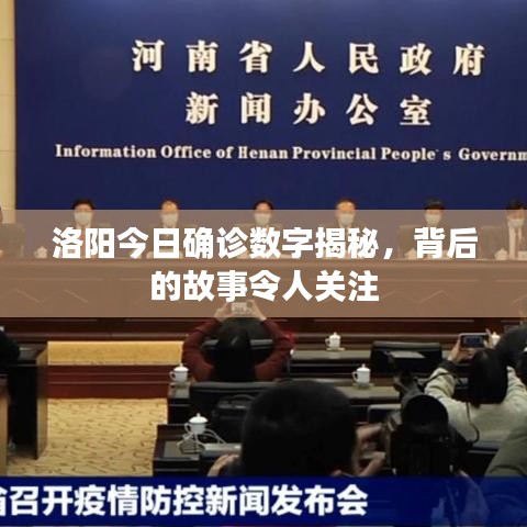 洛阳今日确诊数字揭秘，背后的故事令人关注
